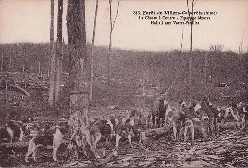 CPA Villers Cotterets, La Chasse a Courre, ungelaufen