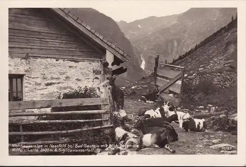 AK Bad Gastein, Viehhauseralpe im Nassfeld, Riffelscharte, Siglitzwasserfall, ungelaufen