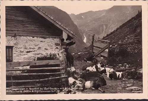 AK Bad Gastein, Viehhauseralpe im Nassfeld, Riffelscharte, Siglitzwasserfall, ungelaufen