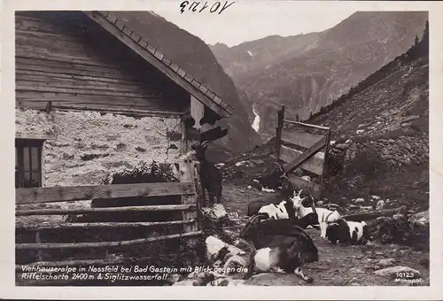 AK Bad Gastein, Viehhauseralpe im Nassfeld, Riffelscharte, Siglitzwasserfall, ungelaufen