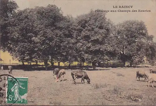 CPA Le Raincy, Paturage aux Champs des Excuries, gelaufen