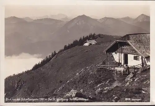 AK St. Wolfgang, Blick von der Schafbergalm, Bauernhaus, ungelaufen