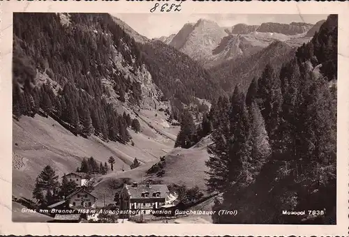 AK Gries am Brenner, Alpengasthof und Pension Guschelbauer, Ortsansicht, ungelaufen