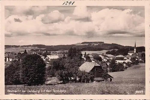 AK Neumarkt, Strand und Waldhotel Wallersee, Stadtansicht, ungelaufen