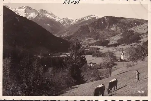 AK Wald im Pinzgau, Kirche, Kühe, Wildkar, ungelaufen