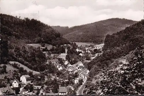 AK Ziegelhausen, Ortsteil Peterstal, Stadtansicht, gelaufen 1967