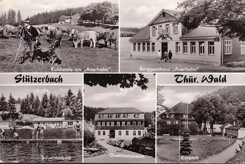 AK Stütterbach, troupeau de vaches, ferme de montagne, piscine, courue