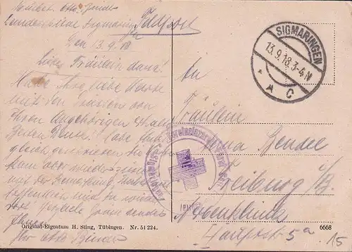 AK Donautal, Mühlheim, Werenwaag, Truppenübungsplatz, Bronen, Feldpost, gelaufen 1918