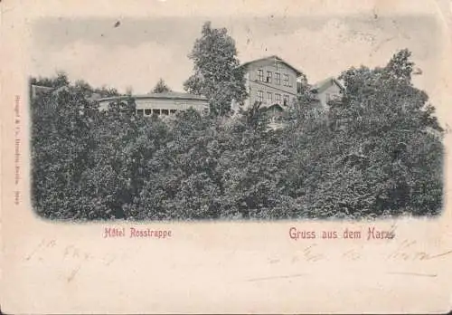 AK Gruss de la résine, Hotel Rosstrappe, couru