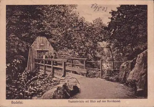 AK Bodetal, Teufelsbrücke mit Blick den Bodekessel, ungelaufen-datiert 1923
