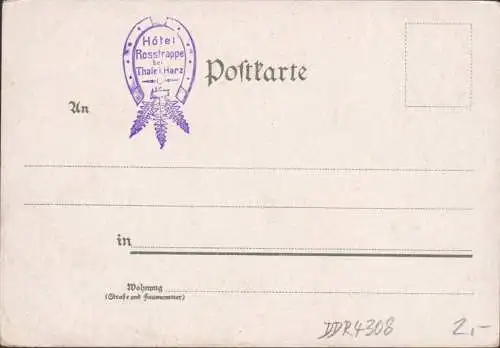 AK Gruss aus dem Bodetal, Teufelsbrücke, ungelaufen-datiert 1902