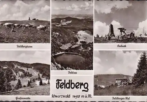 AK Feldberg, Feldberger Hof, Feldbergturm, Seebuck, Grafenmatte, ungelaufen