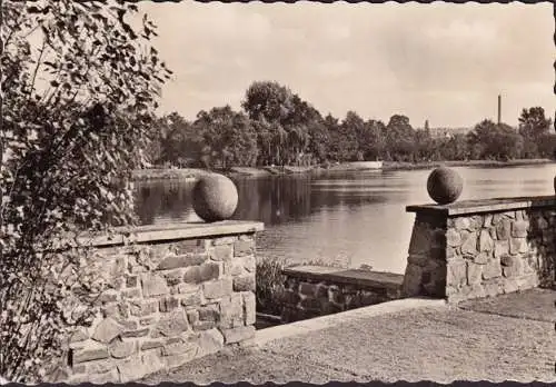 AK Zwickau, Blick auf den Schwanenteich, gelaufen 1962