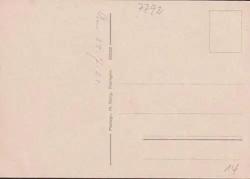 AK Fridingen, Schloss Bronnen, Jägerhaus, ungelaufen-datiert 1923