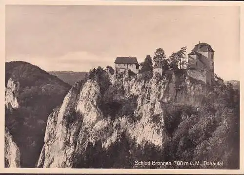 AK Fridingen, Schloss Bronnen, ungelaufen