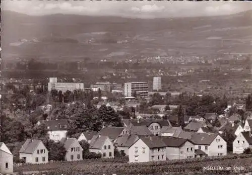 AK Ingelheim, vue sur la ville, tourbières, courues