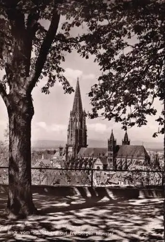 AK Freiburg, Blick vom Schloßberg auf den Münster, ungelaufen