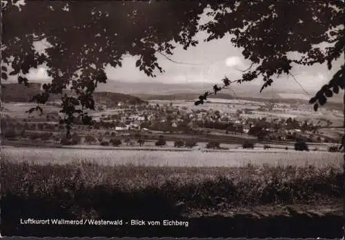 AK Wallmerod, Blick vom Eichberg, gelaufen