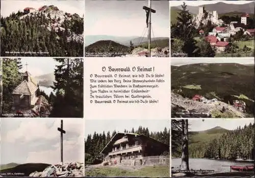 AK O Bayerwald, O Heimat, Rachelkapelle, Schutzhaus, Sessellift, gelaufen 1964