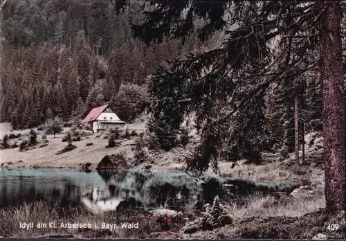 AK Lohberg, Idyll am Kleinen Arbersee, gelaufen 1963
