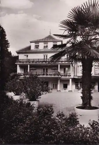 AK Bad Peterstal Griesbach, Sanatorium, Kurhaus, couru en 1955