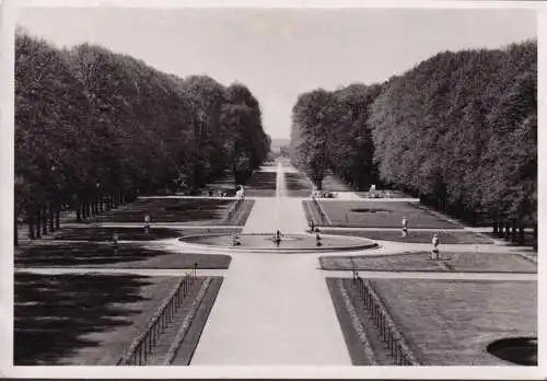 AK Schwitzingen, jardin du château, vue d'ensemble, incurvée