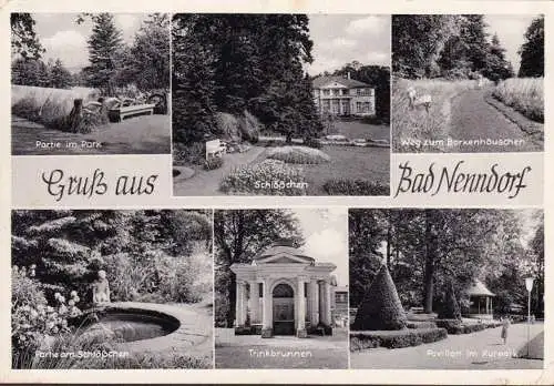 AK Bad Nenndorf, Kurkpark, Pavillon, Park, Trinkbrunnen, gelaufen 1956