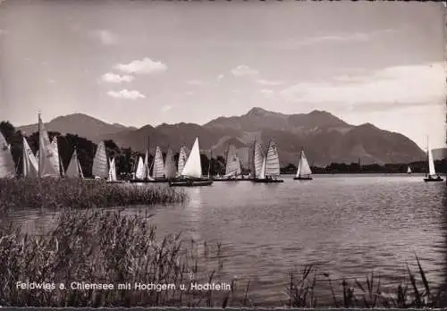 AK Feldwies mit Hochgern und Hochfelln, Segelboote, gelaufen 1955