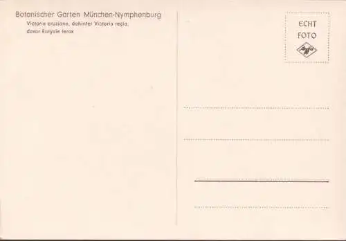 AK München, Botanischer Garten, Kind auf Seerosenblatt, Victoria cruziana, ungelaufen