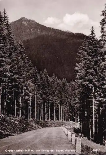 AK Eisenstein, Großer Arber, der König des Bayrischen Waldes, ungelaufen-datiert 1956
