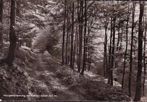 AK Winterberg, Kahler Asten, Morgenstimmung, Gaststätte Asterturm, ungelaufen