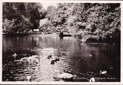 AK Arnhem, Sonsbeeckpark, De Boerderij, ungelaufen