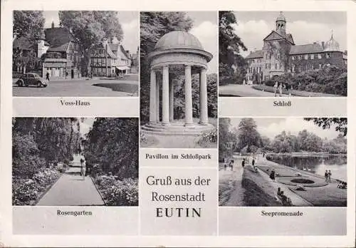 AK Eutin, Voss Haus, VW Käfer, Pavillon, Rosengarten, Seepromenade, gelaufen 1953