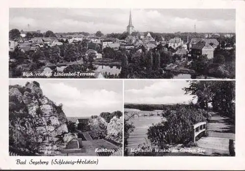 AK Bad Segeberg, Kalkberg, Großer See, Stadtansicht, gelaufen 1957