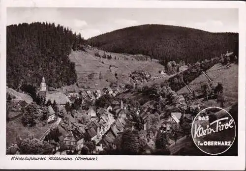 AK Wildemann, Stadtansicht, Das Klein Tirol im Oberharz, Bahnpost, gelaufen 1954