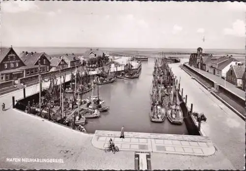 AK Neuharlingersiel, Hafen, Fischkutter, Schiffe, gelaufen 1964