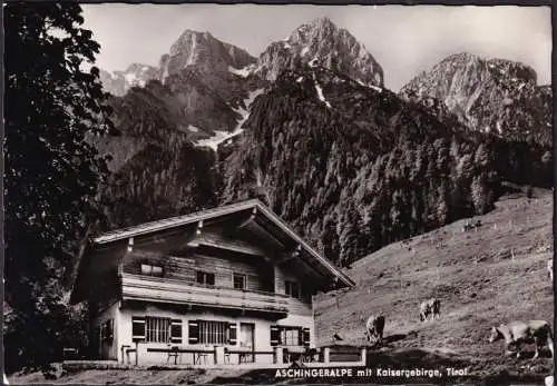 AK Ebbs, Aschingeralpe mit Kaisergebirge, ungelaufen