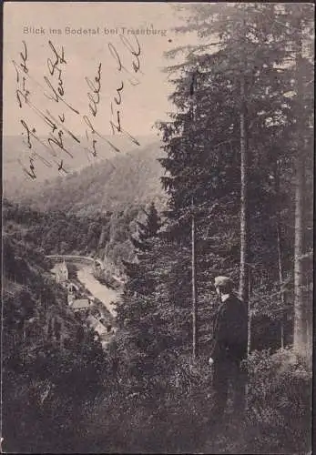 AK Traseburg, Blick ins Bodetal, gelaufen 1911