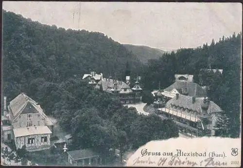 AK Gruss aus Alexisbad, Stadtansicht, gelaufen 190