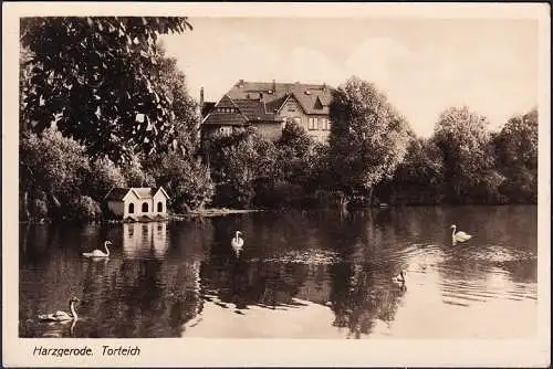 AK Harzgerode, Torteich, gelaufen 1938