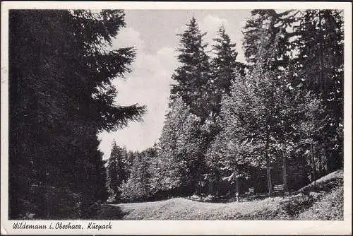 AK Wildemann, Kurpark, gelaufen 1955