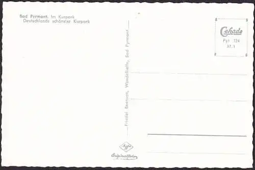 AK Bad Pyrmont, Im Kurpark, Schwan, ungelaufen