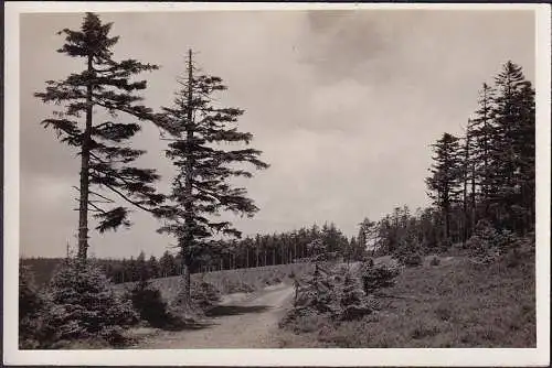 AK Zella Mehlis, point culminant du trottoir de course à Beerberg, incurvé