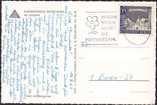 AK Speyer, Dom mit Domgarten, Jugendherberge Am Leinpfad, gelaufen 1963