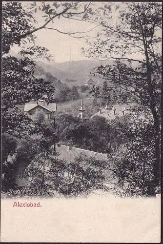 AK Alexisbad, Ortsansicht, gelaufen 1902