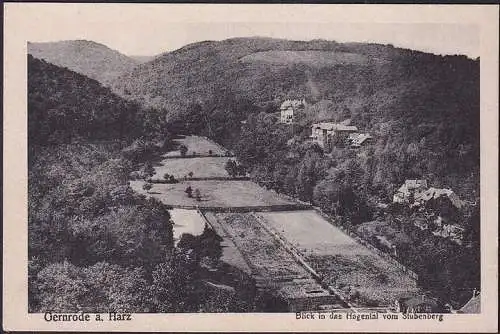 AK Gernrode, Blick in das Hagental vom Stubenberg, ungelaufen