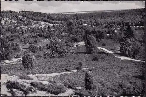 AK Lüneburger Heide, Totengrund, gelaufen 1959