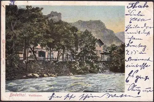 AK Thale, Bodetal, Waldkater, gelaufen 1906