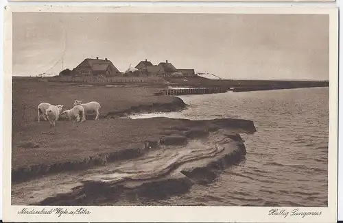 Wyk auf Föhr, Hallig Langeness, gebr. sw AK. #2213