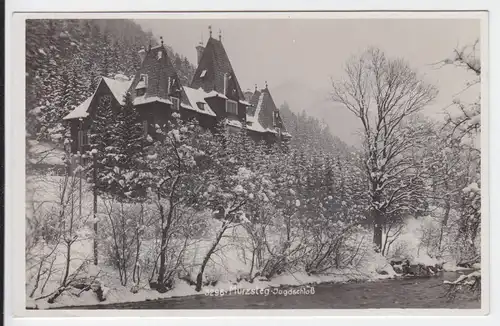 Österreich, Steiermark, Mürzsteg Jagdschloss, gebr. Foto AK.  #1166